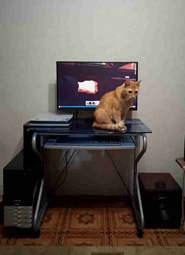 Компьютерный стол Gera фото покупателя 2